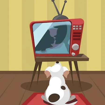 Pets Apartment